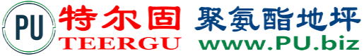 特尔固®长沙聚氨酯地坪